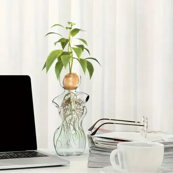 Elegant Glass Vase with Green Plant - Picture 5 of 7